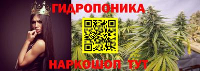 крисы Малгобек