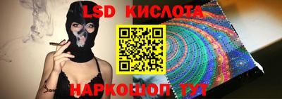 крисы Малгобек