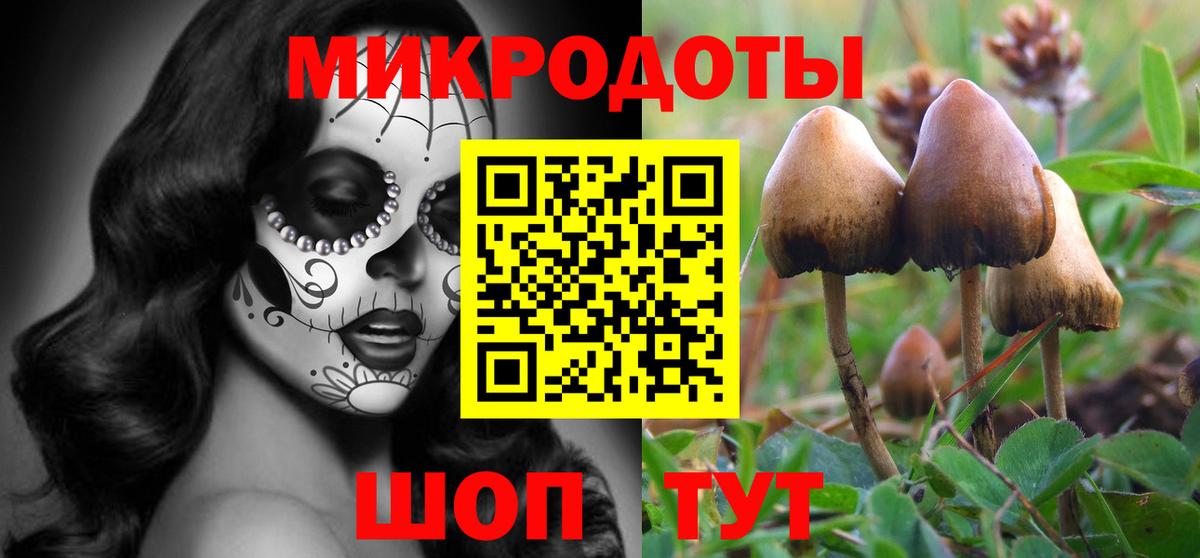 Галлюциногенные грибы GOLDEN TEACHER Златоуст