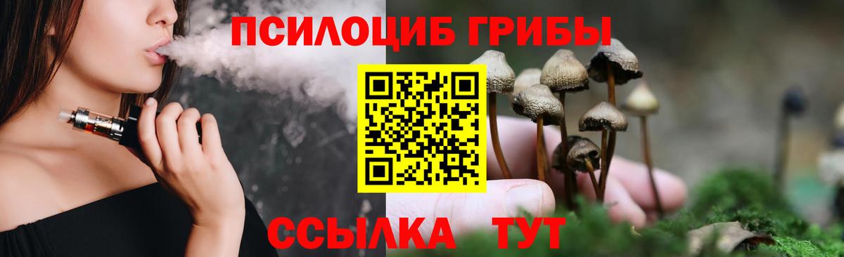 купить наркоту  Псилоцибиновые грибы GOLDEN TEACHER  Вход с VPN  Златоуст 